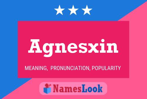 ملصق اسم Agnesxin