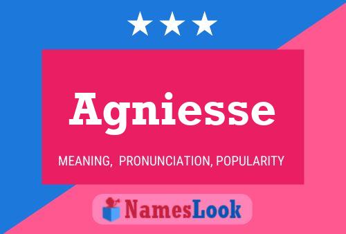 ملصق اسم Agniesse