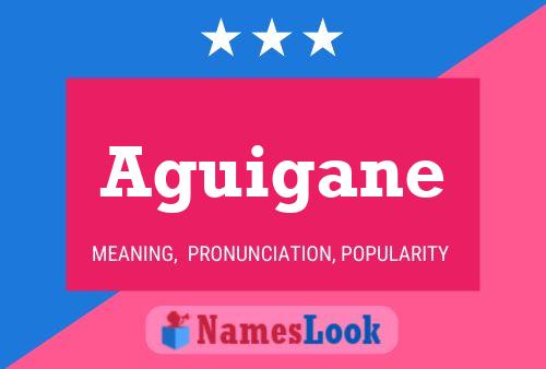 ملصق اسم Aguigane