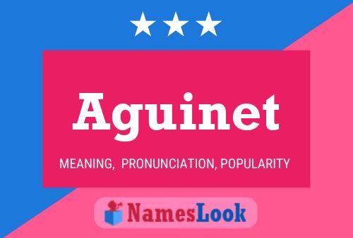 ملصق اسم Aguinet