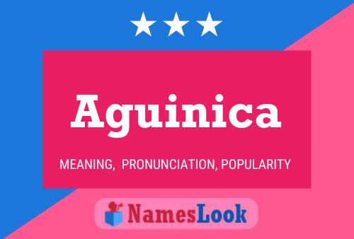 ملصق اسم Aguinica