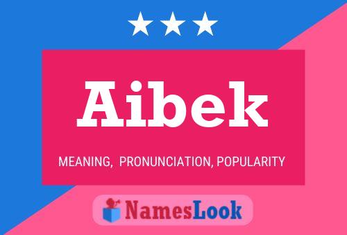 ملصق اسم Aibek