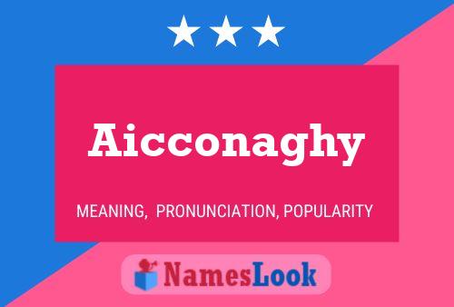 ملصق اسم Aicconaghy