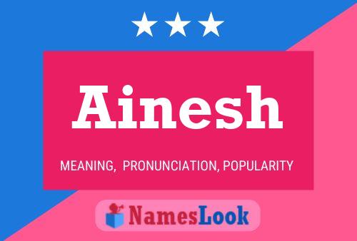 ملصق اسم Ainesh