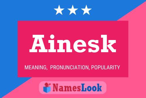 ملصق اسم Ainesk