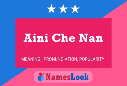 ملصق اسم Aini Che Nan