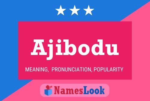 ملصق اسم Ajibodu