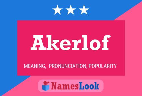 ملصق اسم Akerlof