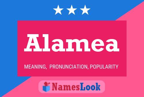 ملصق اسم Alamea