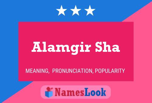 ملصق اسم Alamgir Sha