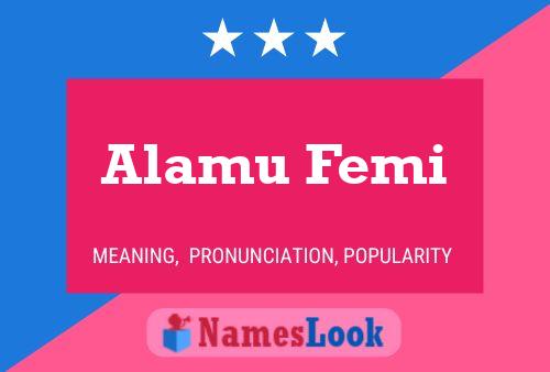 ملصق اسم Alamu Femi