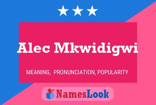 ملصق اسم Alec Mkwidigwi