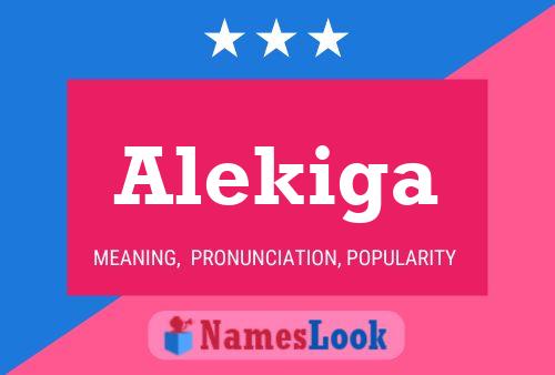 ملصق اسم Alekiga