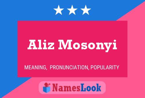 ملصق اسم Aliz Mosonyi