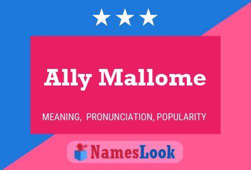 ملصق اسم Ally Mallome