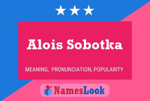 ملصق اسم Alois Sobotka