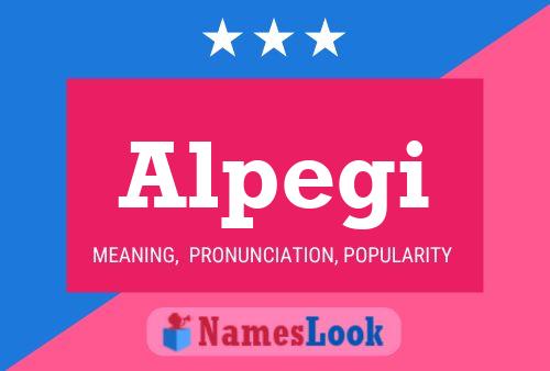 ملصق اسم Alpegi