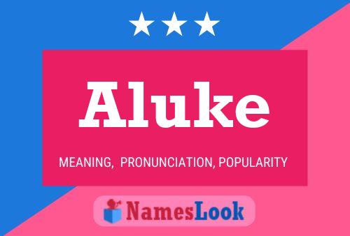 ملصق اسم Aluke