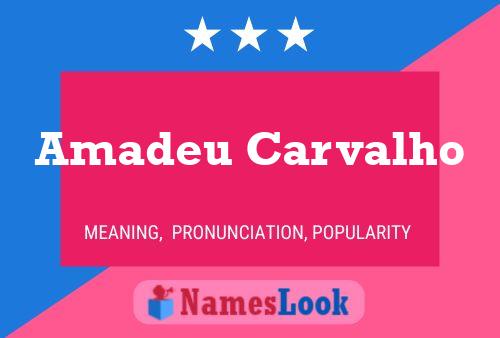 ملصق اسم Amadeu Carvalho