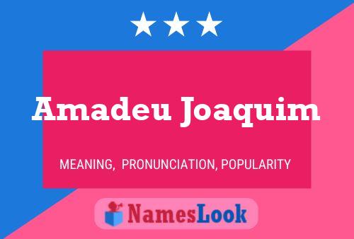 ملصق اسم Amadeu Joaquim