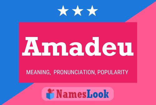 ملصق اسم Amadeu