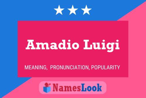 ملصق اسم Amadio Luigi