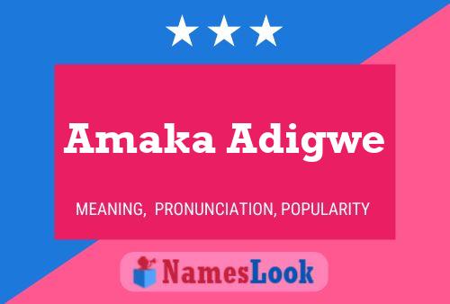 ملصق اسم Amaka Adigwe