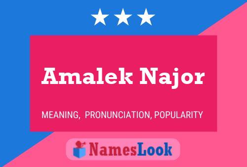 ملصق اسم Amalek Najor