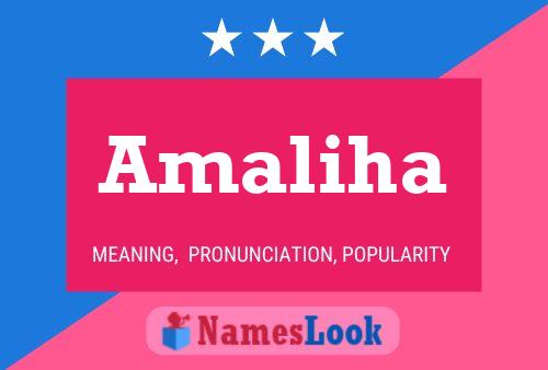 ملصق اسم Amaliha