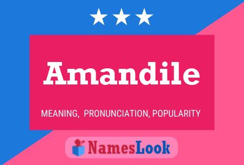 ملصق اسم Amandile