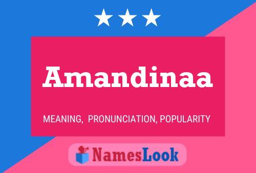 ملصق اسم Amandinaa