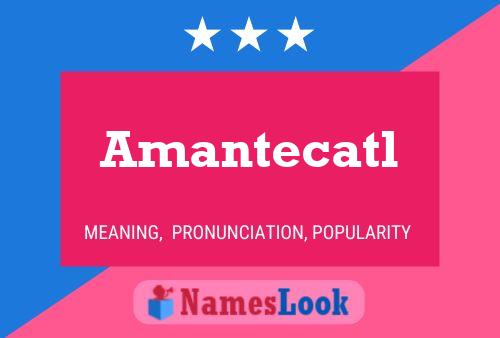 ملصق اسم Amantecatl