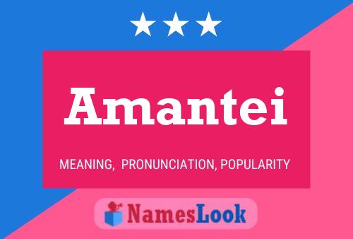 ملصق اسم Amantei