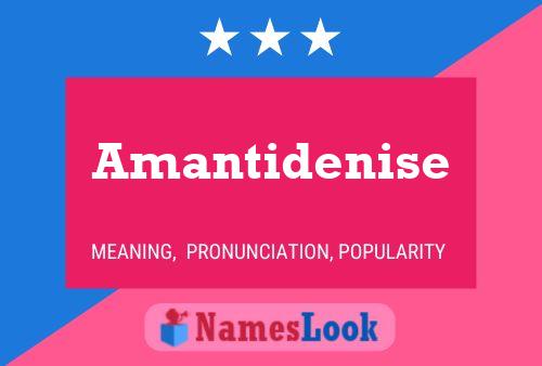 ملصق اسم Amantidenise