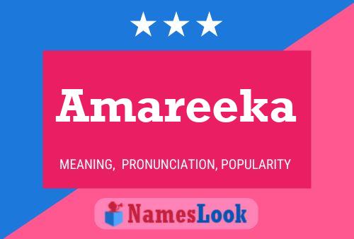 ملصق اسم Amareeka