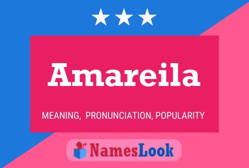 ملصق اسم Amareila