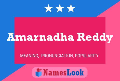 ملصق اسم Amarnadha Reddy