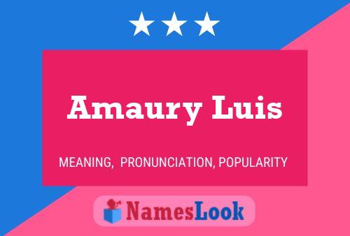 ملصق اسم Amaury Luis