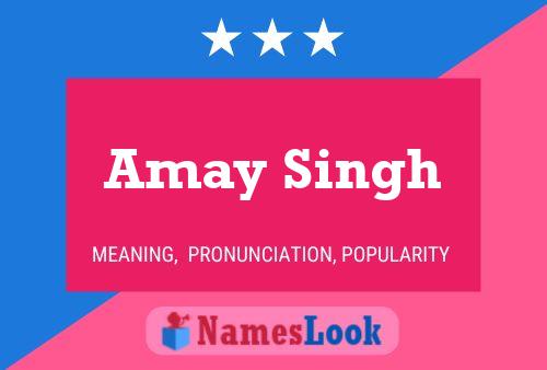 ملصق اسم Amay Singh