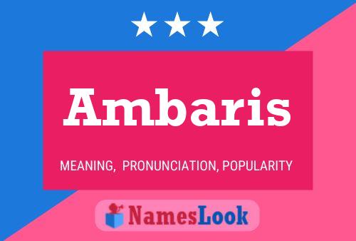 ملصق اسم Ambaris