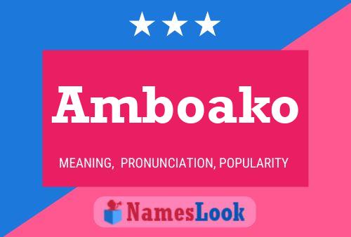 ملصق اسم Amboako