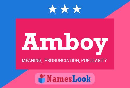 ملصق اسم Amboy