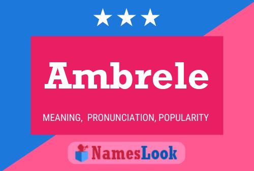 ملصق اسم Ambrele