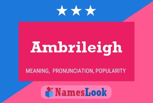 ملصق اسم Ambrileigh