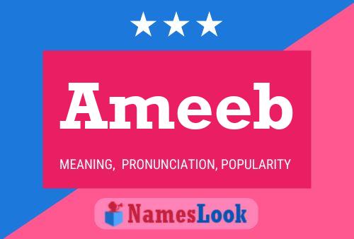 ملصق اسم Ameeb