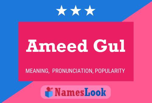 ملصق اسم Ameed Gul