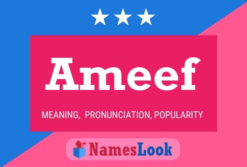 ملصق اسم Ameef