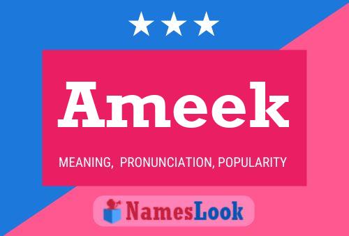 ملصق اسم Ameek