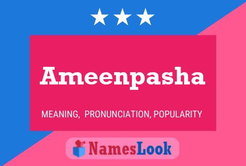 ملصق اسم Ameenpasha