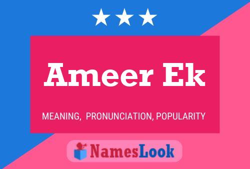 ملصق اسم Ameer Ek